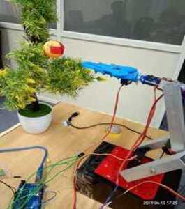 project-img